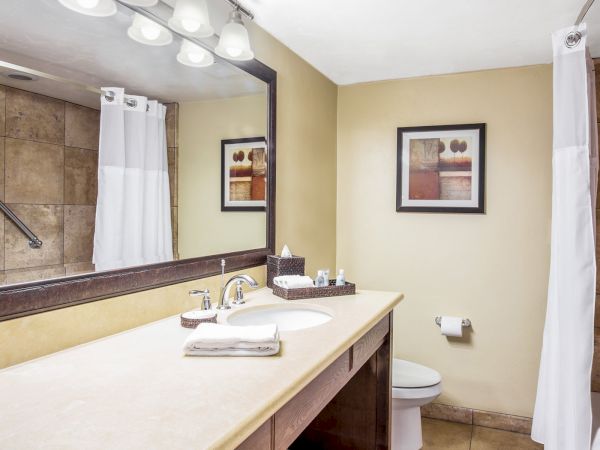 This image displays a hotel bathroom with a large mirror, a countertop with a sink, towels, a framed picture on the wall, and a shower area.