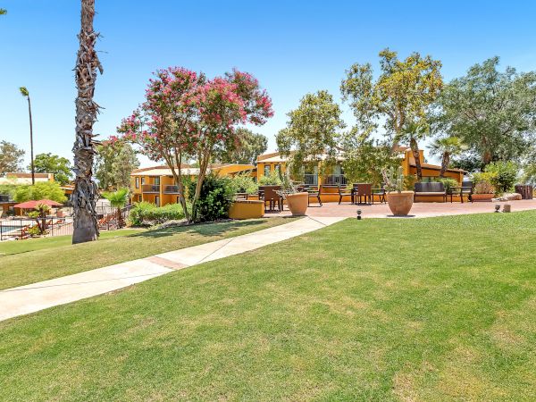 A landscaped outdoor area with green grass, palm trees, potted plants, and a path leading to a building in the background on a sunny day.