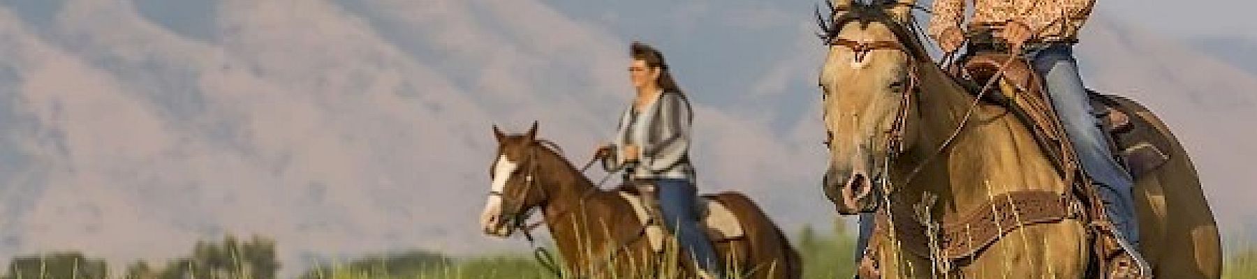 Two people riding horses in a grassy field with mountains in the background.