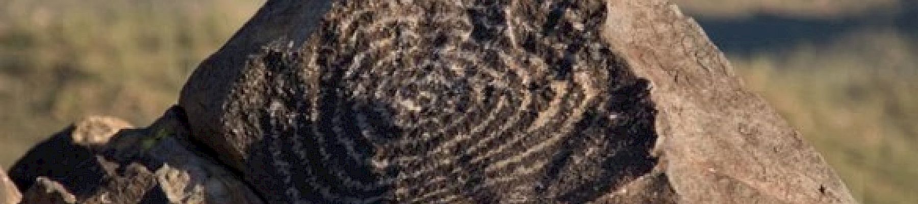 The image shows a rock with ancient petroglyphs carved into it, set against a backdrop of a mountainous landscape and clear sky.