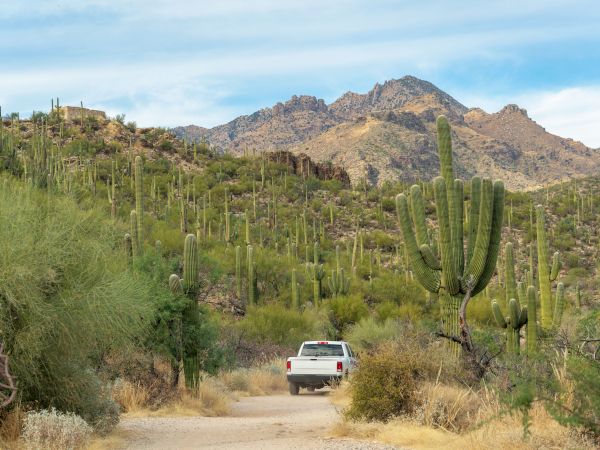 A white truck on a dirt road surrounded by cacti and desert vegetation, with mountains in the background and a partly cloudy sky.