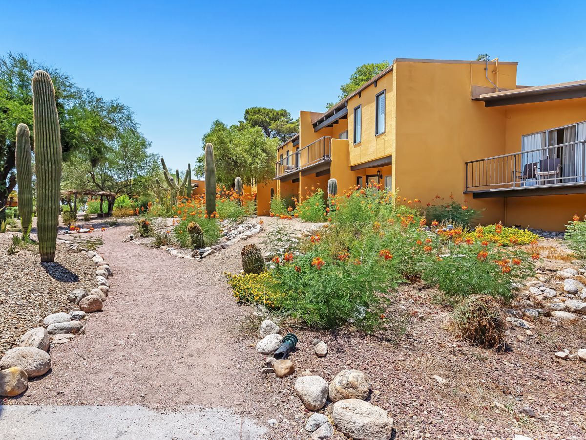 A desert landscape with cactus plants, orange flowers, and a pedestrian path next to orange stucco buildings with balconies under a clear blue sky.
