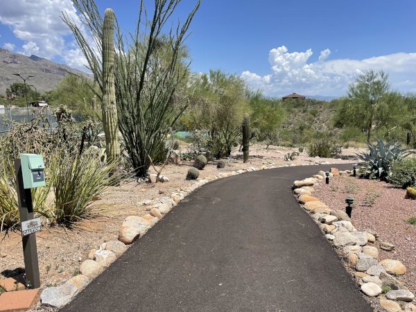 The image shows a paved path curving through a desert landscape with cacti, rocks, and shrubs under a bright blue sky with clouds in the distance.
