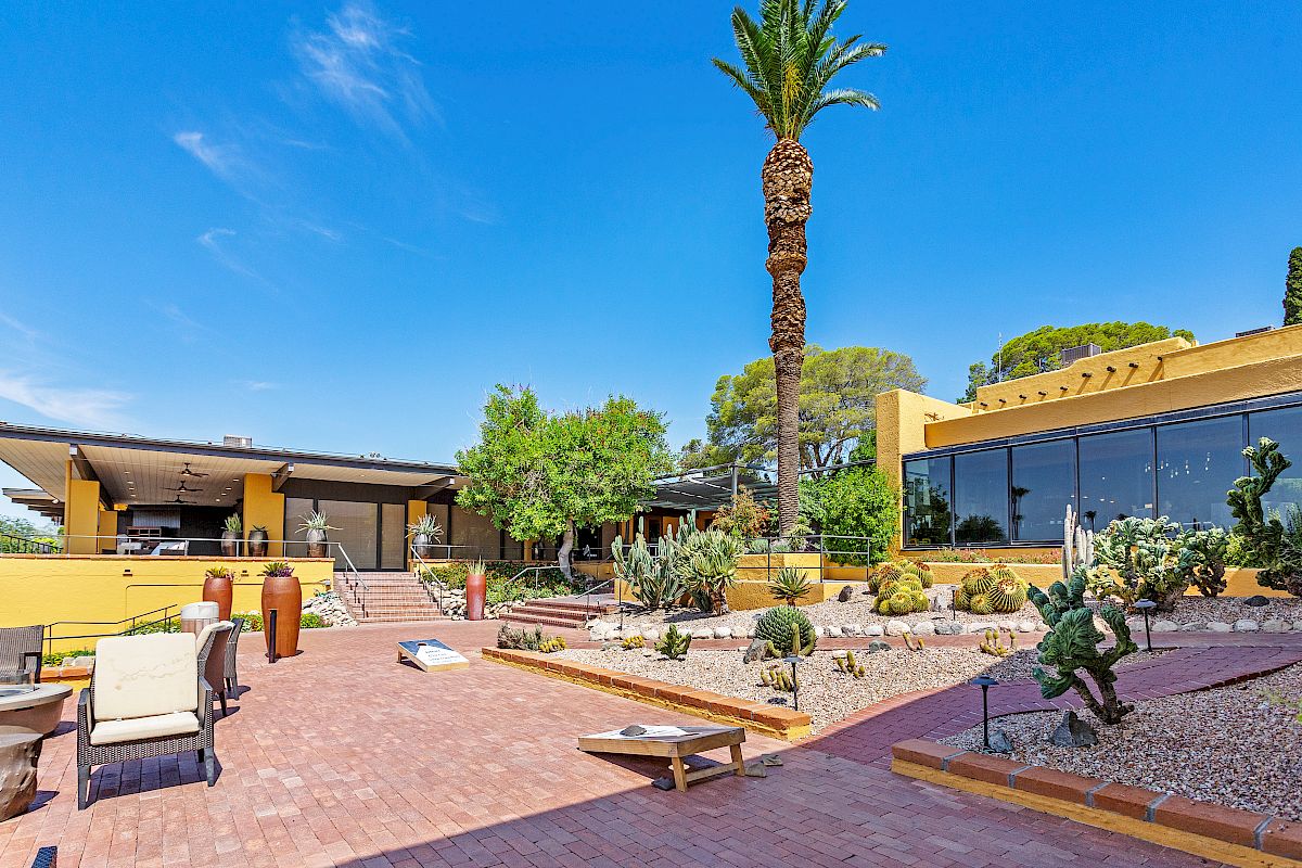 The image shows a spacious outdoor patio area with lounge chairs, cacti, and a tall palm tree, adjacent to a modern building under a clear blue sky.