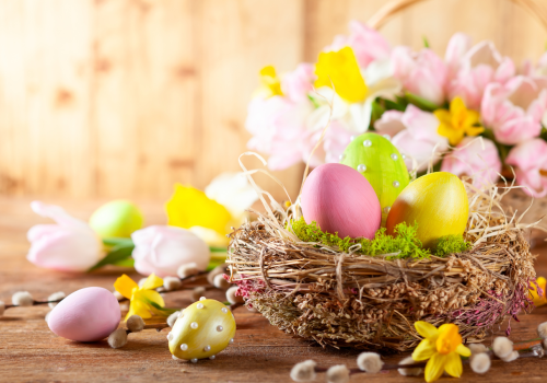 A nest with colorful Easter eggs and a basket of pink flowers, with tulips and yellow blossoms in the background.