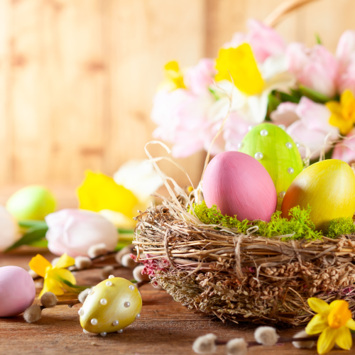A nest with colorful Easter eggs and a basket of pink flowers, with tulips and yellow blossoms in the background.
