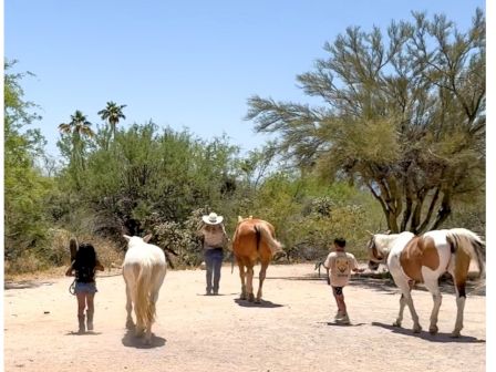 Kids and horses in a sunny dirt road, smiling and exploring with a sunny, calm desert vibe, simple rural scene.