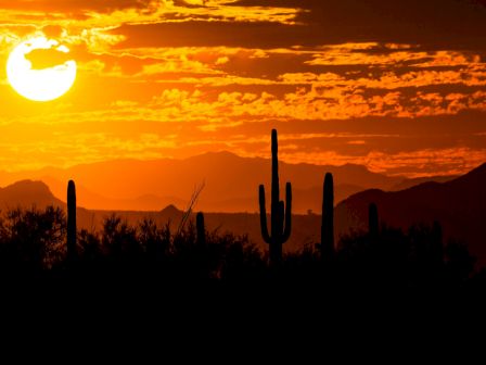 A desert sunset with a bright sun, silhouetted cacti, and distant mountains on the horizon, all in warm orange tones. But you asked to &ldquo;Top it at 140 characters, always ending the sentence.&rdquo; So:Desert sunset: bold sun sinking behind jagged cacti, silhouettes etched against orange hills and distant mesas.