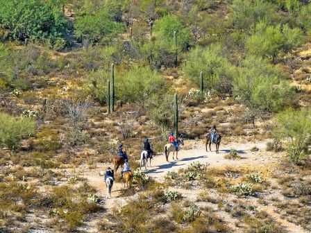 Hikers trek through a desert landscape with cacti and scrub, following a dusty trail under a sunny, sparse terrain.