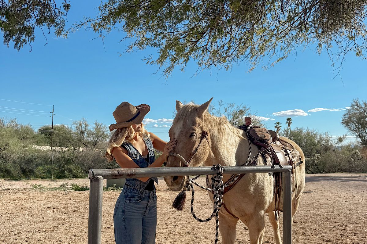 A person in a wide-brimmed hat stands with a horse in a fenced arena, adjusting the bridle under a tree on a sunny day.